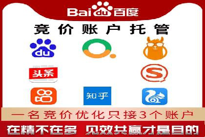 百度竞价代运营成功案例解析